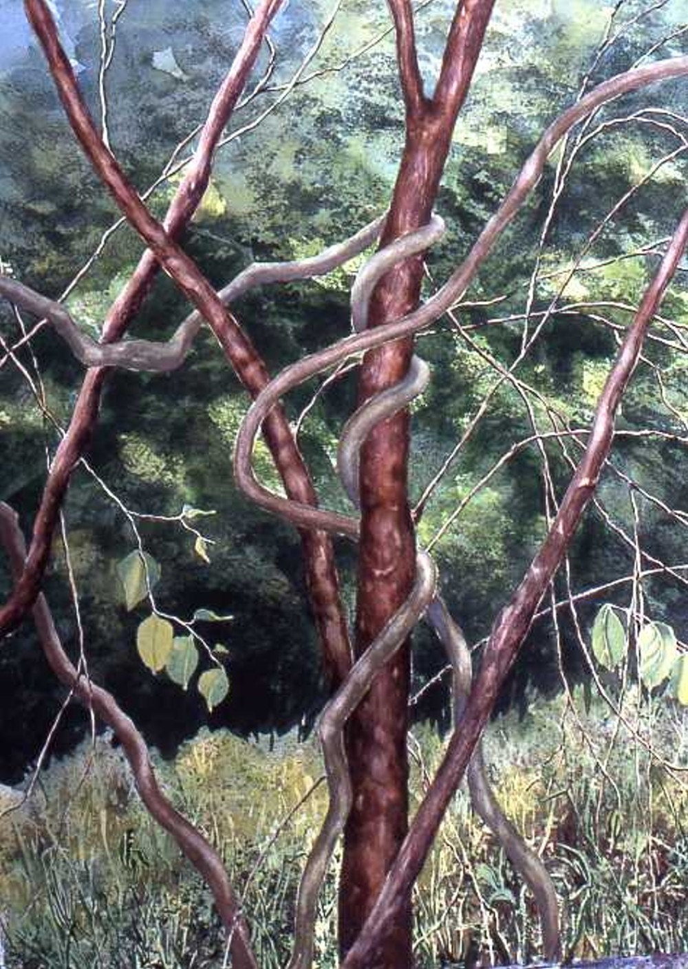 Original watercolor, Tree with Vines