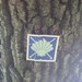 The Golden Bough - a botanical perfume oil