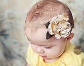 little lace rose