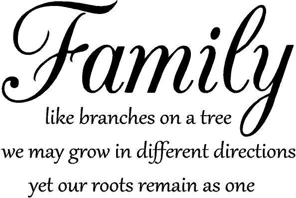 Family Tree Quotes. QuotesGram
