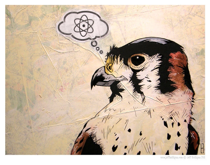 Atomic Power - American Kestrel