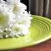 Cake Stand Cupcake Stand Dessert Pedestal Chartreuse And Milk Glass  By E. Isabella Designs. As Featured In Martha Stewart Weddings.