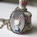 Real bunny necklace