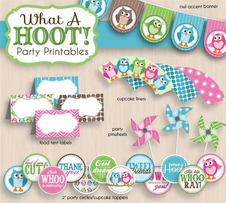 TWIN OWL Birthday Party Printable Invitation in Teal and Pink