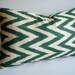 Sukan / Hand Woven Original Silk ikat Pillow Cover - Green off White