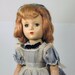 Alice In Wonderland by Madame Alexander
