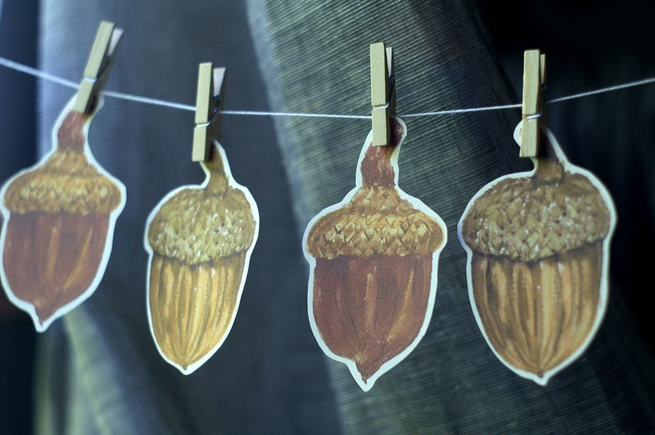 Acorn - - escort cards, wishing tree, place cards - Hand cut prints of original watercolor