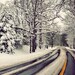 Fine Art Photography, After the Snow, 8x12 Landscape Photo, Winter, Snow, Road