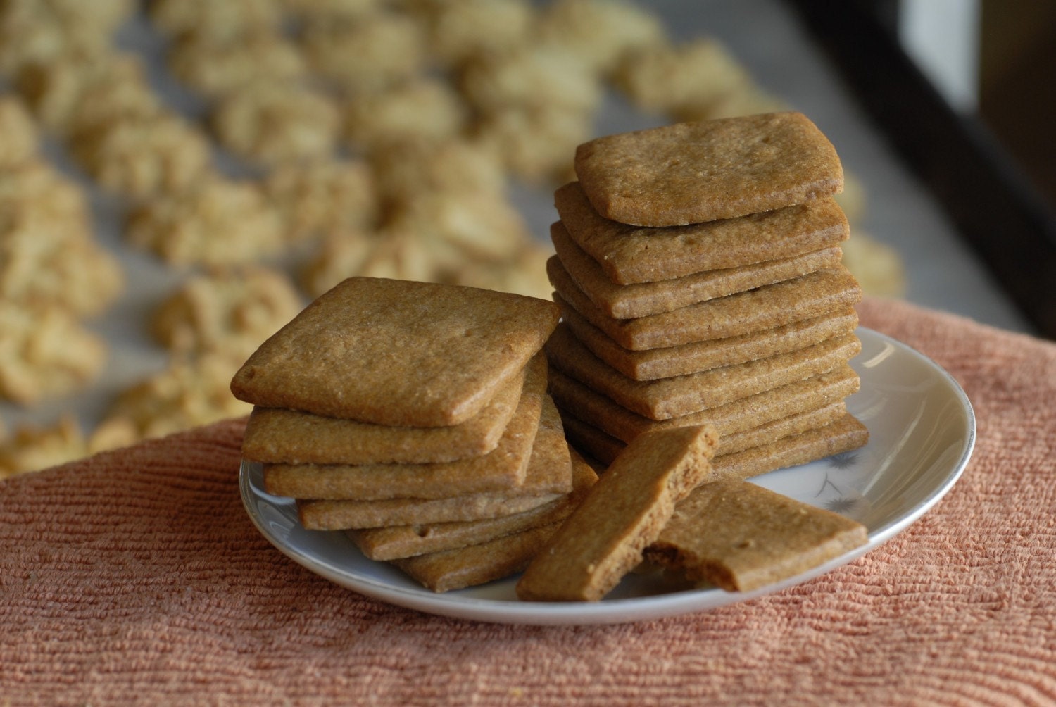 Graham Crackers