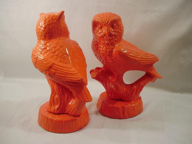 Orange Owls