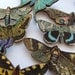 Lady of the night, Medium, wooden, MOTH Brooch, Choose 1,2,3,4,5,6,7,8,9,10 by NewellsJewels on etsy