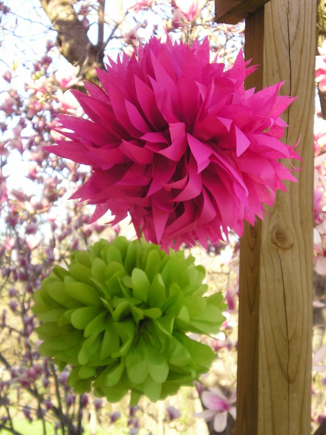 Tissue Paper Pom Poms - Set of 12- Your Colors...Decorations for weddings, bridal shower, birthday party, baby shower, nursery, college dorm