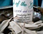 Clean and Clear Smudging Mist
