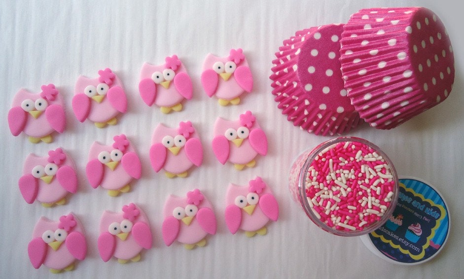 Fondant Cupcake Toppers - Pretty Owl Mini Party Package