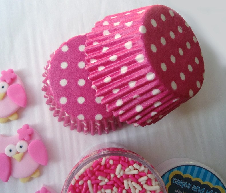 Fondant Cupcake Toppers - Pretty Owl Mini Party Package