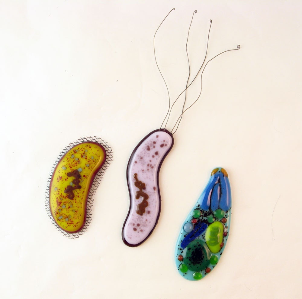 Pick a Microbe: Made to Order Fused Glass Magnet or Brooch