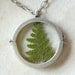Fern Window Necklace Green Plant Jewelry - READY TO SHIP