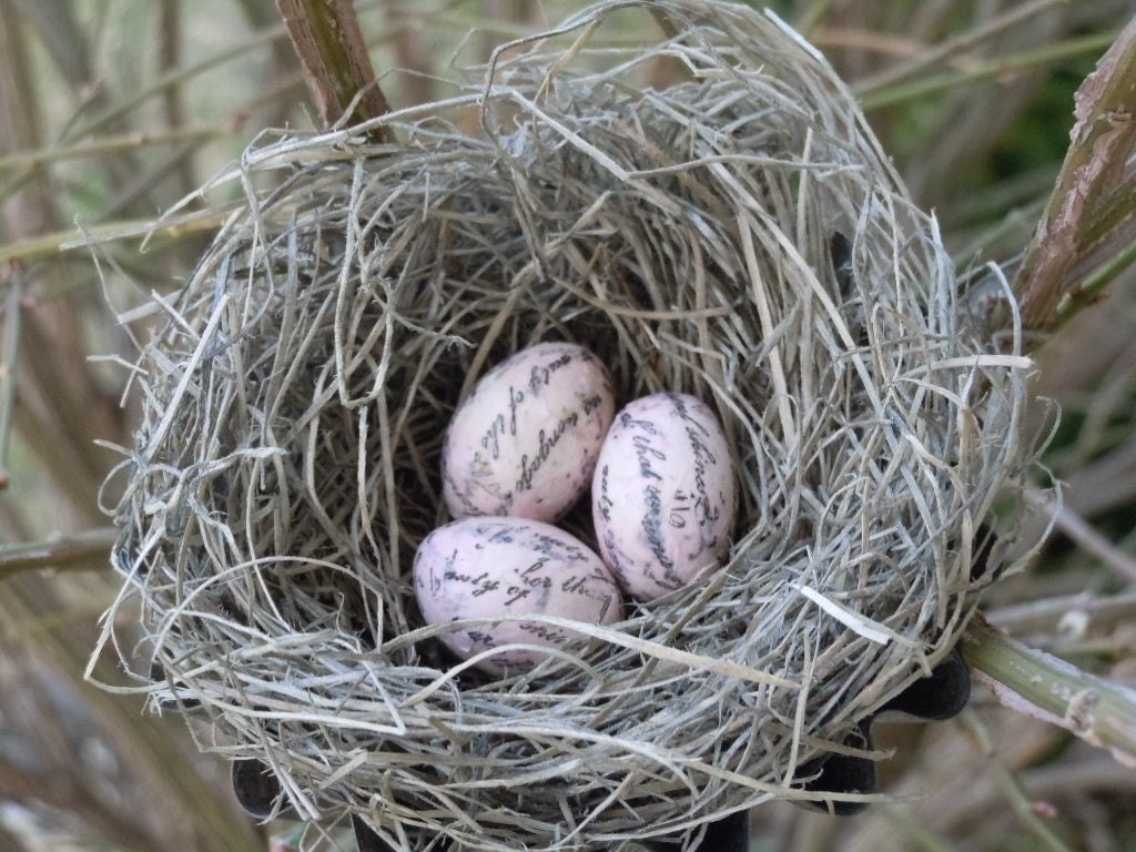 Romantic French Inspired Shabby Chic  Handmade Bird Nest with Pink Script Eggs by AMarigoldLife