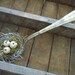 Romantic Rustic Autumn Ivory Pumpkins Farmhouse Silver Spoon
