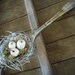 Romantic Rustic Autumn Ivory Pumpkins Farmhouse Silver Spoon
