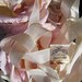 Rayon Seam Binding Ribbon Croquette Beige