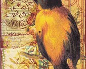 Bird V. An original collaged / mixed media ACEO