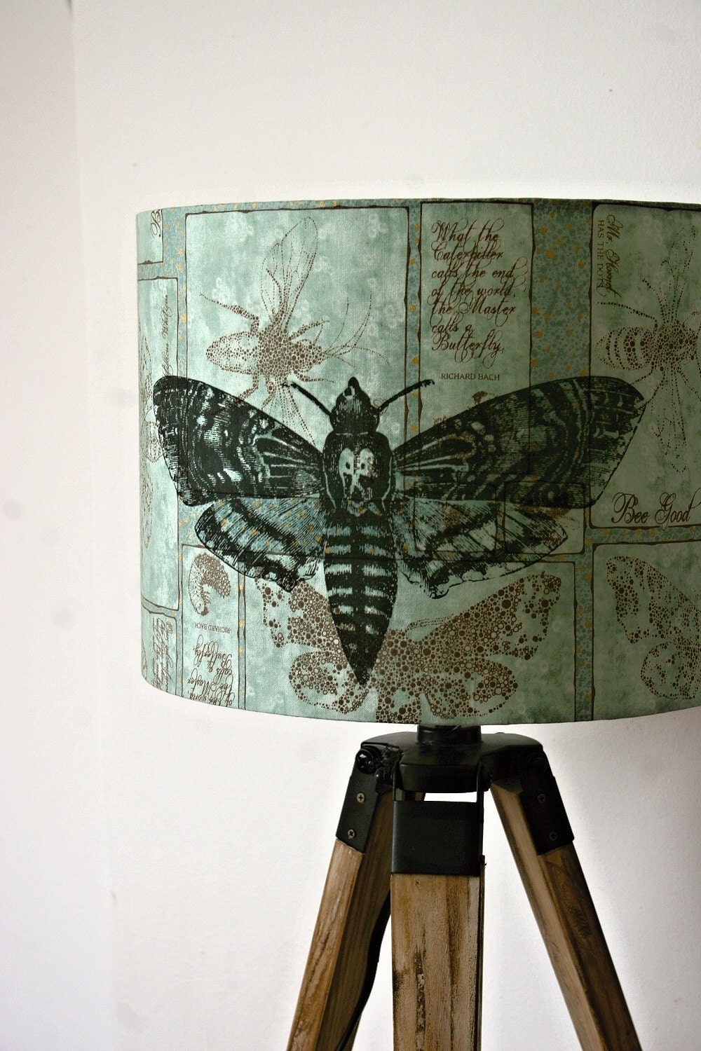 Lamp shade Moth