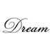 Vinyl Wall Sticker Decal Art - Dream