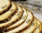 EXTRA Large Rustic Wood Tree Slice Centerpieces, Trivets, Hot plates, Chargers -plain - 11 - 13 inch diameter - SET OF 35