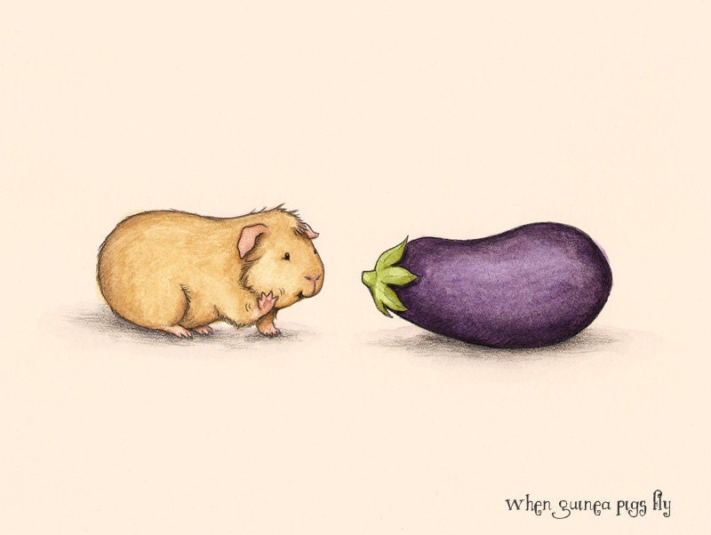 How do you do - Guinea pig with eggplant 5 x 7 guinea pig art print