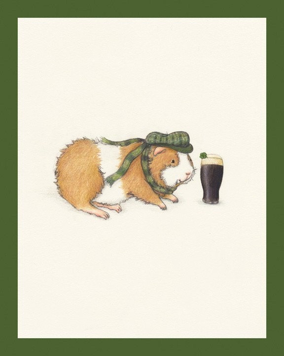 Timothy Sweetmeadow the Irish St. Patrick's Day Guinea Pig 8x10