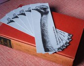 Ostrich Bookmarks for Library Borrowers