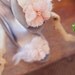 Cherry blossom shoe clips- style 202
