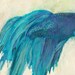 Modern Betta Art 5" x 7" Print - Siamese Fighting Fish Print