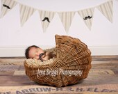Large Fabric Bunting - Mr. Mustache in Tan Il_170x135