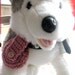 Round Tag Bag, Tag Tamer or Silencer for Dog or Cat Tags