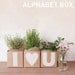 Kraft Decor Clean-Up Box (Alphabet, 1 box choose)