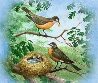 Robin Nest Ceramic Tile Coasters Set of 4 Spring Birds