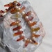 Carnelian & Apricot Freshwater Pearl Necklace - "Orange Zinnia"