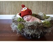 Knit Newborn Baby Bird Hat, Knitted Infant Tie Top Hat, Spring Robin Photo Prop, Cardinal, Custom Colors Avail,Newborn Baby- Adult