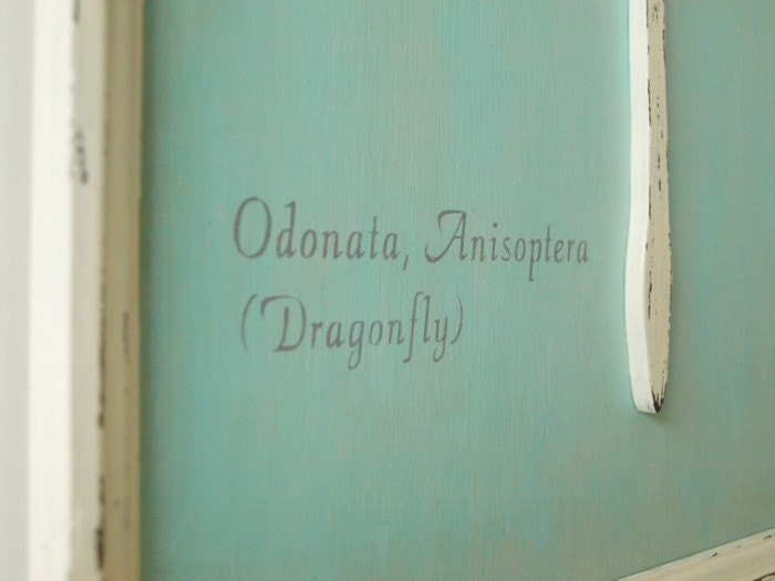 Vintage style shabby chic cottage decor in wood. One of a kind, Framed Dragonfly in Robin's Egg Blue.
