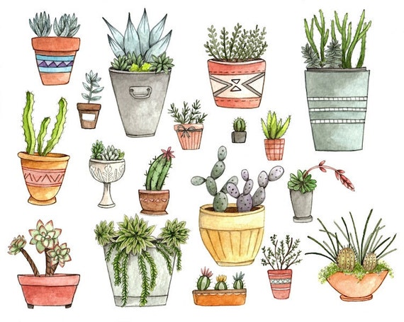 Potted Succulents 8.5x11" Print