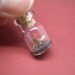 Apatosaurus / Brontosaurus in a tiny bottle