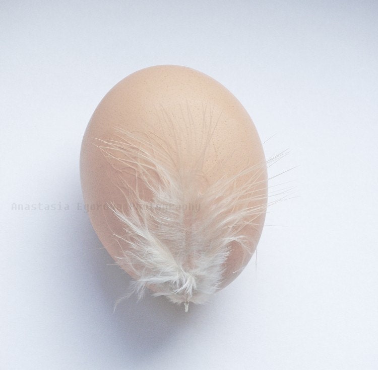 Dilemma photograph 5x5
