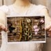 Woodland finds original photography print 5x7
