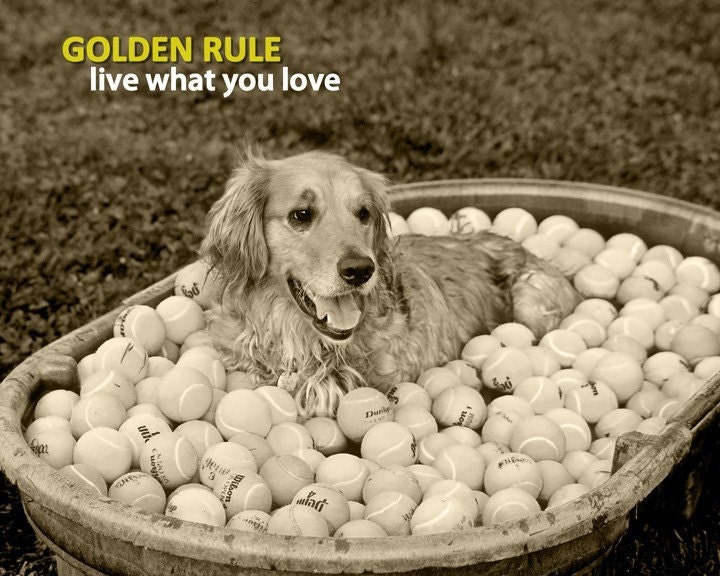Golden Rule - Live What You Love (8 x 10 Print)