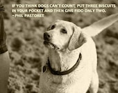 If You Think Dogs Can't Count - 8 x 10 Print