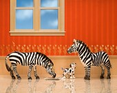 zebra art, diorama, black and white stripes, red, kids decor, puppy - It's Black and White 8 x 10