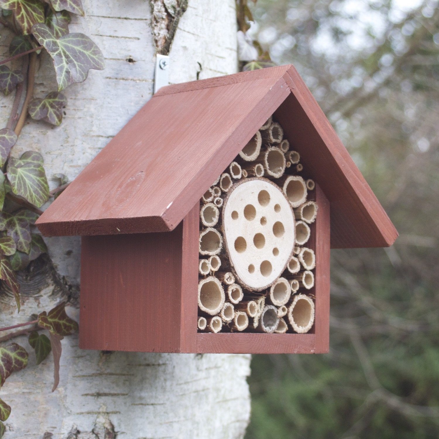 Single Tier Mason Bee House and Insect Hotel, Brown