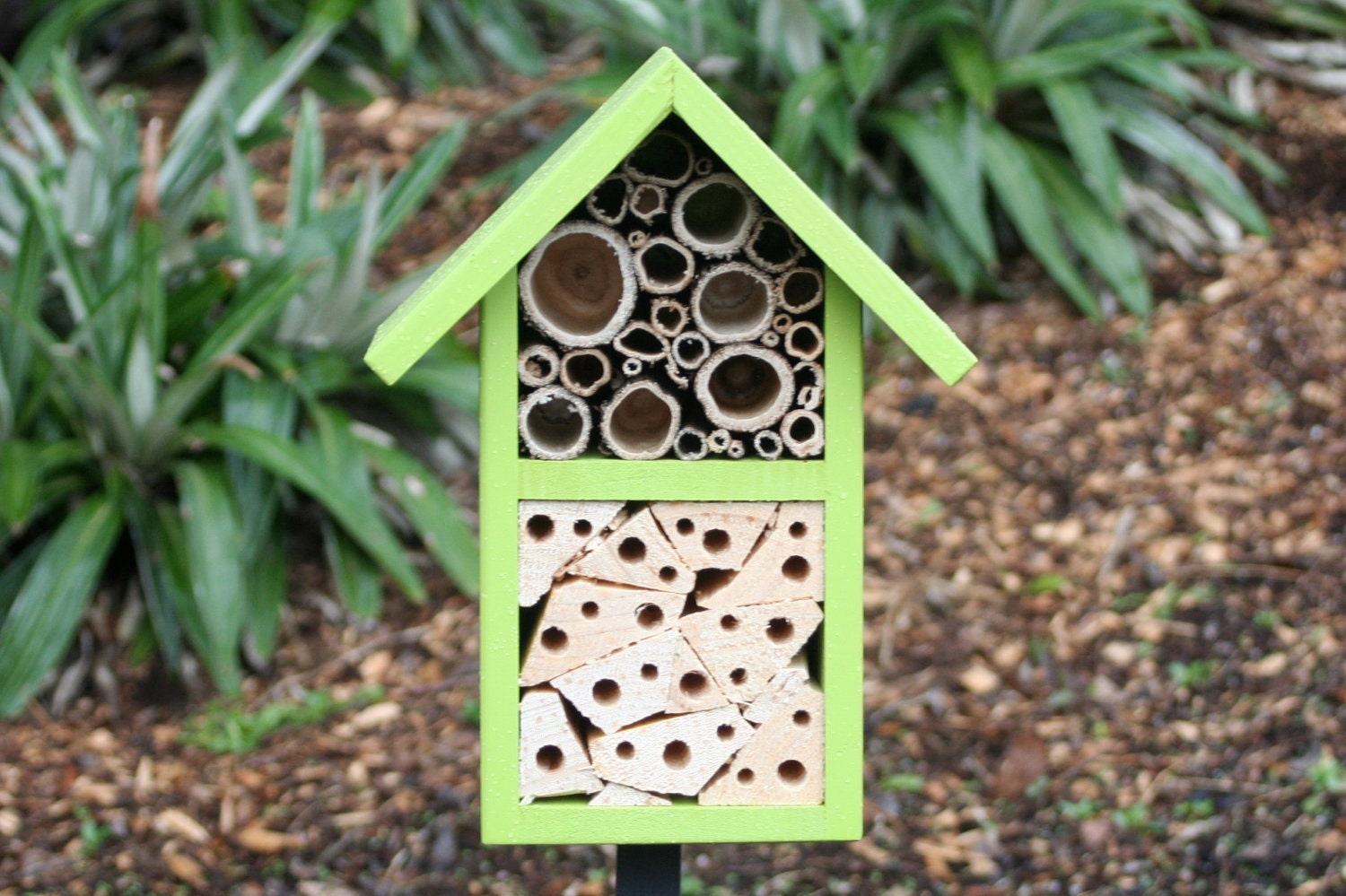 Two Tier Insect and Bee Hotel, Sunny Lime.